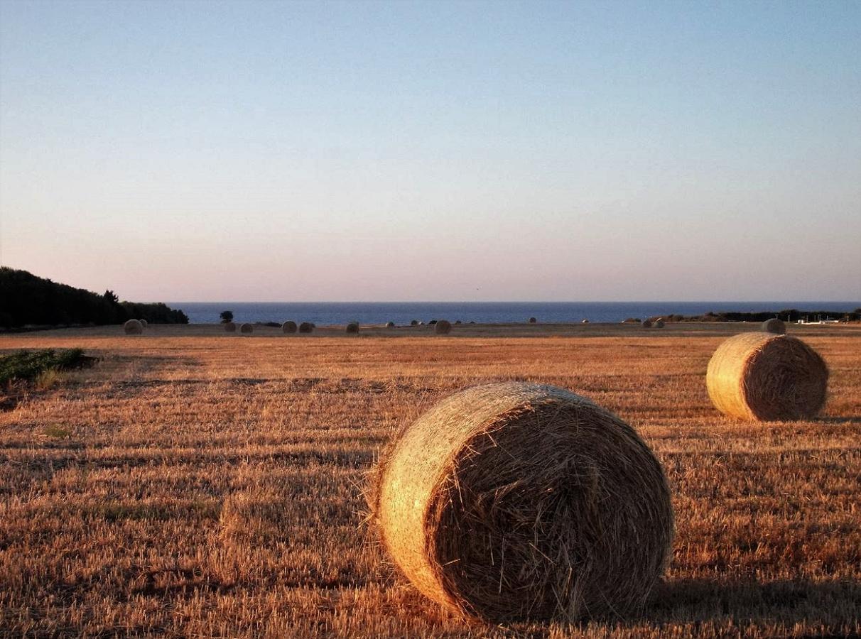 Apartmán Masseria Di Benedetto Ostuni Exteriér fotografie